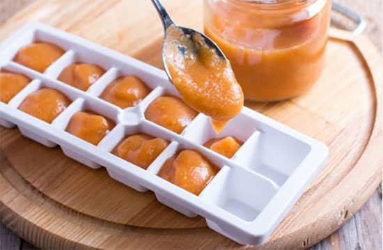 baby food trays